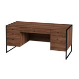 Drake 2 Drawer Iron and Wood Writing Desk