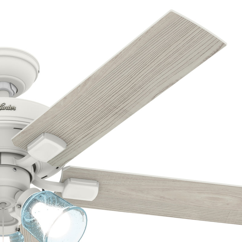 52" Whittier 5 - Blade Standard Ceiling Fan with Pull Chain and Light Kit Included