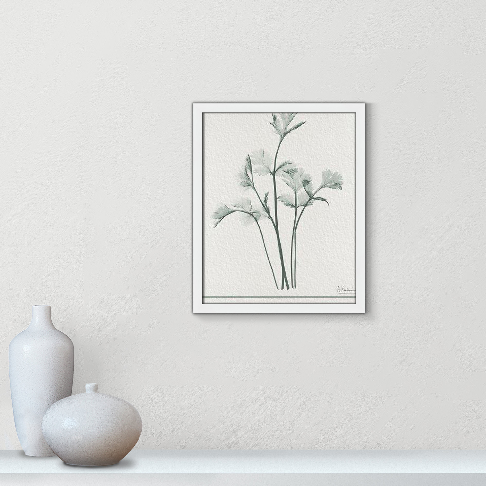 Parsley II Framed On Paper by Albert Koetsier Print, Satin White Framed Paper, 19" H x 16" W x 1.25" D
