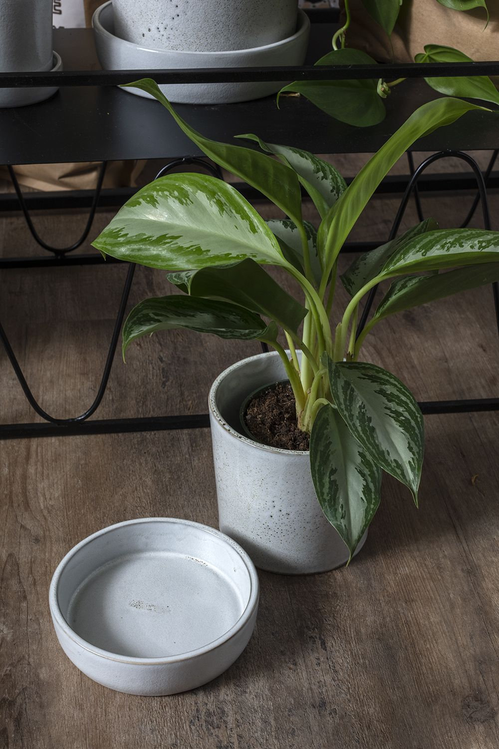 Handmade Ceramic Pot Planter, 5" H x 5.25" W x 5.25" D, Off White
