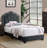 Platform Bed W/ Built-In LED Lights-350531079-356497192