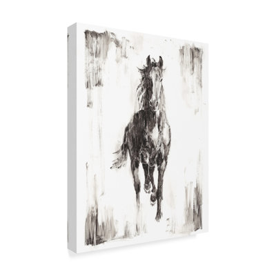 « rustique black stallion i », peinture sur toile tendue