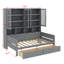 Lit de jour simple en bois avec armoires de rangement à portes vitrées, DEL et tablettes-267577990