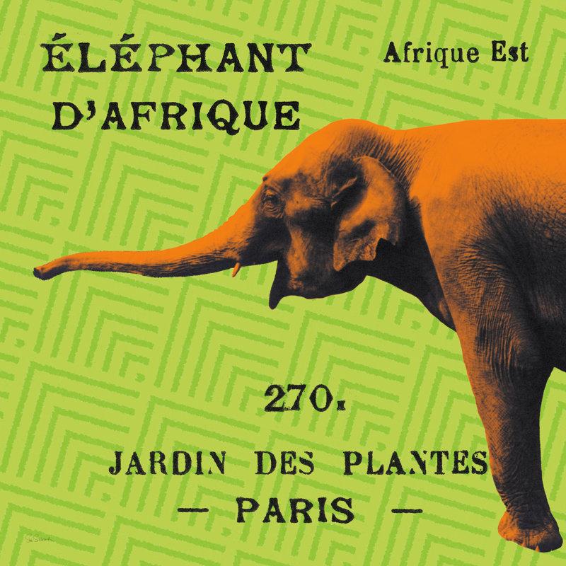 «Bright Safari Elephant» par Sue Schlabach, art textuel sur toile tendue, H 20 po x l 20 po, Non, Encadrement argenté