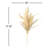 Edora Plume Grass Arrangement