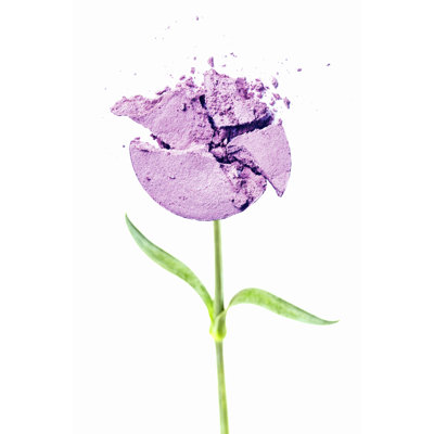 Purple Crushed Makeup Flower - Wrapped Canvas Print