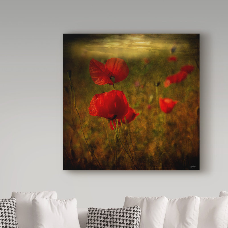 «Fields of Red Ii» par Barbara Simmons - reproduction de photo sur toile, H 14 po x l 14 po x P 2 po