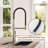 Spring Neck Standard Kitchen Faucet with Dual-Function spray head and Deck Plate-76655470