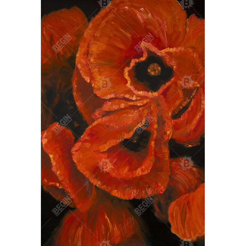 Poppy bouquet Bath Mat with Non-Slip Backing - Quick Dry Memory Foam Bathroom Rug - Absorbent - Modern Plush Spa-Style - Machine Washable