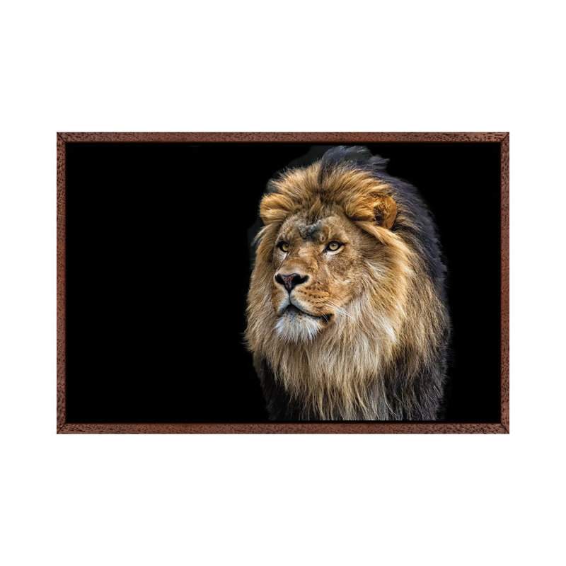 Majestic by David Gardiner - Floater Frame Print on Canvas, Brown Framed, 101.6 cm H x 66.04 cm W