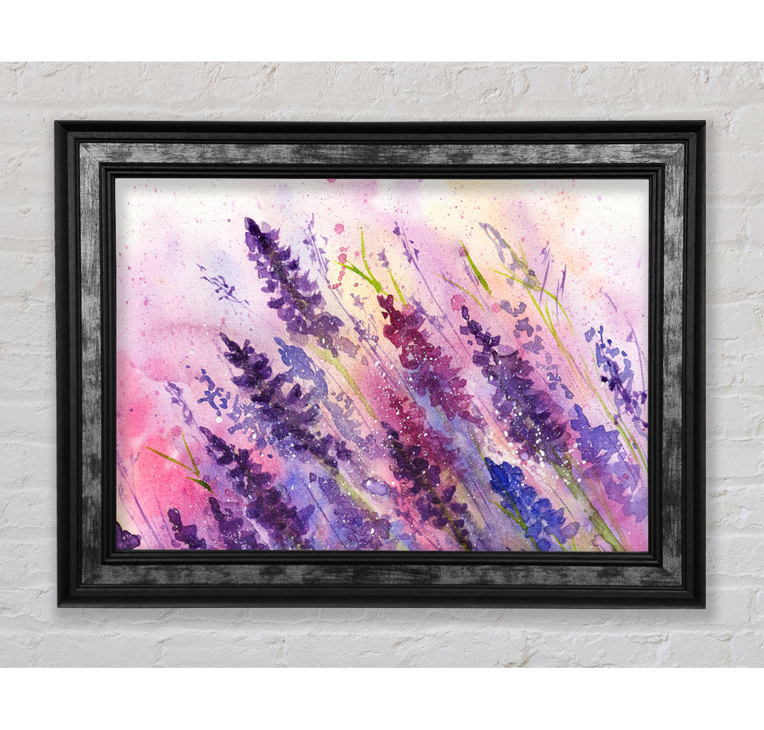 Gerahmtes Leinwandbild Lavender Colour Splash