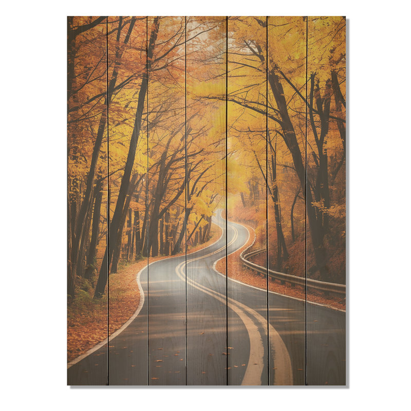 Golden Road Into The Autumn Forest III - Route sur bois, H 32 po x l 24 po