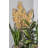 Wall Decor on Metal