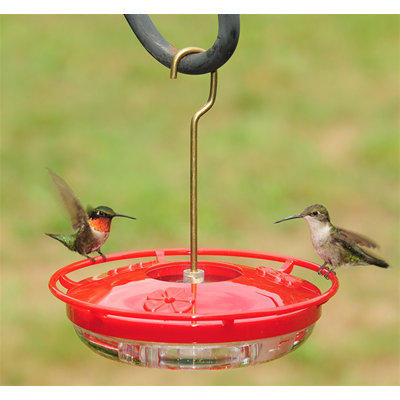 Laughlan Hanging Hummingbird Feeder