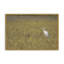 «Everglades National Park» par Nathan Larson, reproduction d'art-114332504-114332503