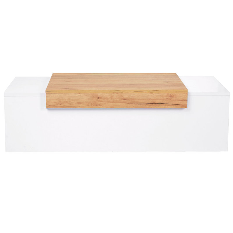 Fatlina Frame Coffee Table with Storage