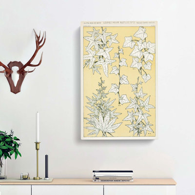 Leaves From Nature No. 3 by Owen Jones - Wrapped Canvas Print