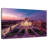 Dusky Palacio De Bellas Artes