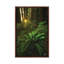 Peeking 1 Piece Wall Art on Canvas-1557683371-1557683372