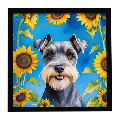 Schnauzer avec tournesols, impression sur métal encadrée