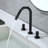 2-handle Bathroom Faucet-67081275