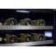 Zephyr Presrv 24 in. 37 Bottle Dual Zone ADA Wine Cooler