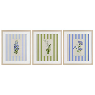 Ensemble de 3 impressions encadrées sous verre Soft Stripe Cottage Blooms, design par Lisa Wehmeyer