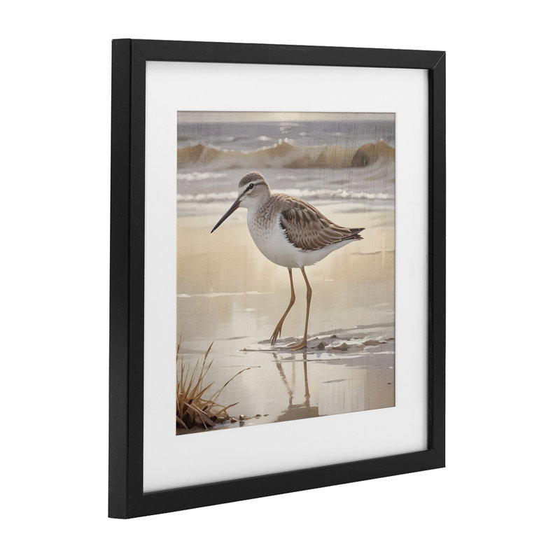 «Wading Beach Sandpiper», reproduction d'art sous verre encadrée par Susan Arnot, H 13 po x l 13 po, Cadre noir minuit