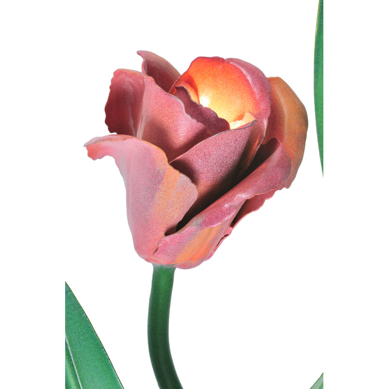 Applique murale 1 lumière Tulip