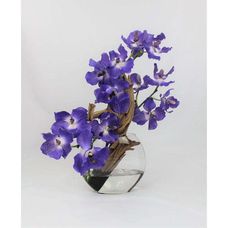 Driftwood and Vanda Orhcis Floral Arrangement in Large Moon Vase, 16" H x 16" W x 6" D