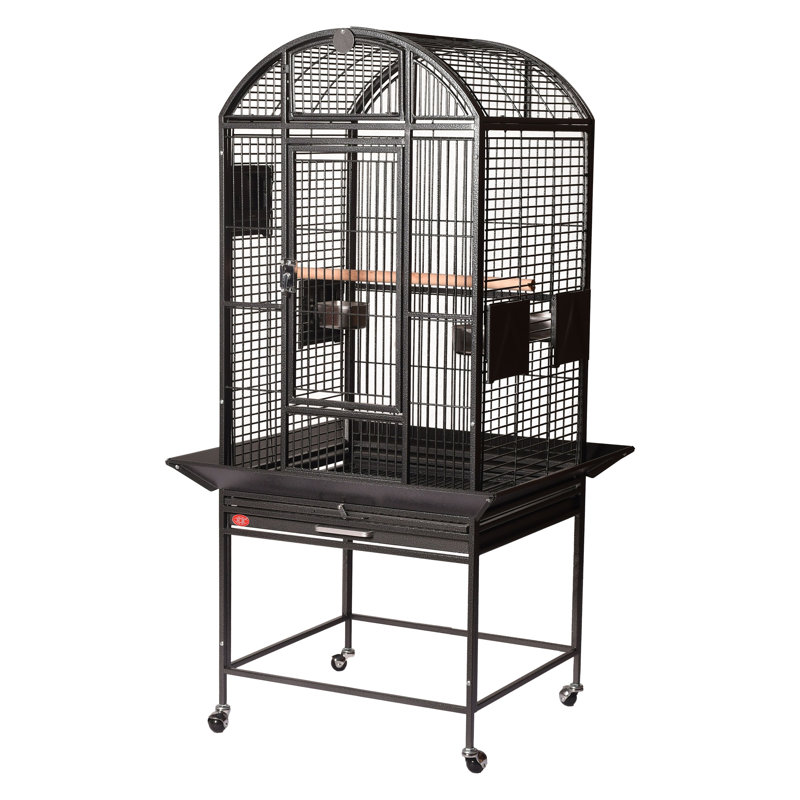 Cage à oiseaux extra large à toit en dôme noir, Extra Large (65" H x 36" W x 28" D), Noir