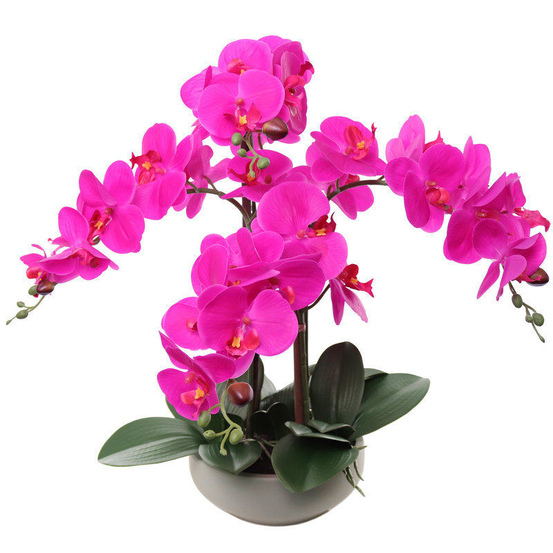 Orchidée Phalaenopsis verte en pot rond de 20 pouces - Fleurs artificielles avec détails de feuilles naturelles