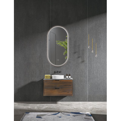 Miroir de salle de bain à miroir 23,5 pouces avec éclairage à DEL Orren Ellis