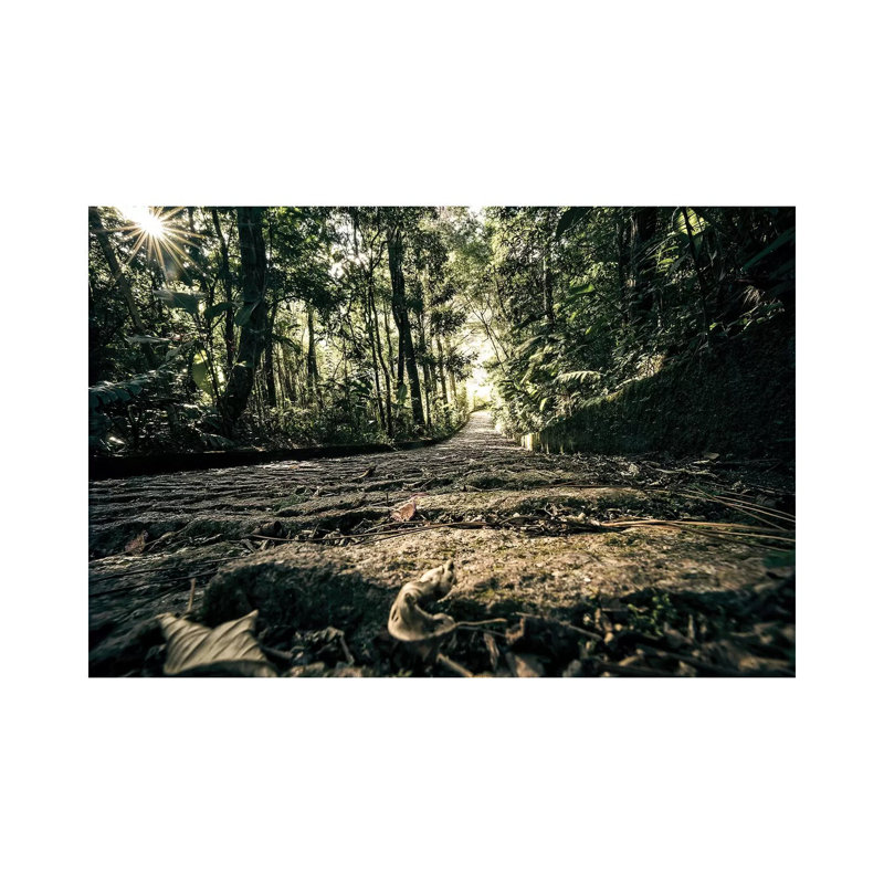 Tropical Forest XIV - Wrapped Canvas Print, 66.04 cm H x 45.72 cm W