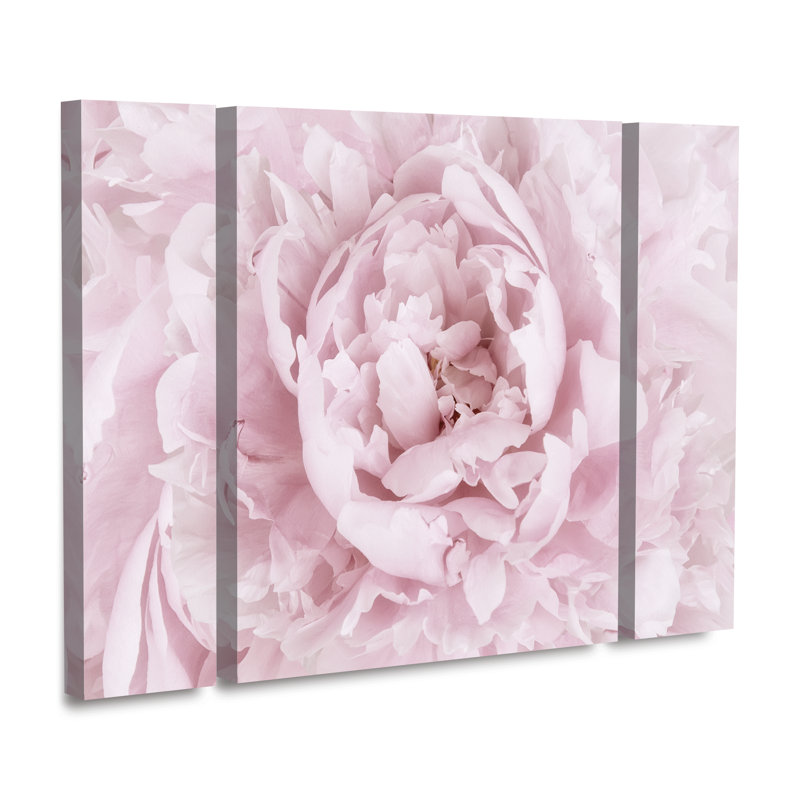 Ensemble de 3 panneaux Cora Niele «Pink Peony Flower», H 24 po x l 32 po x P 2 po