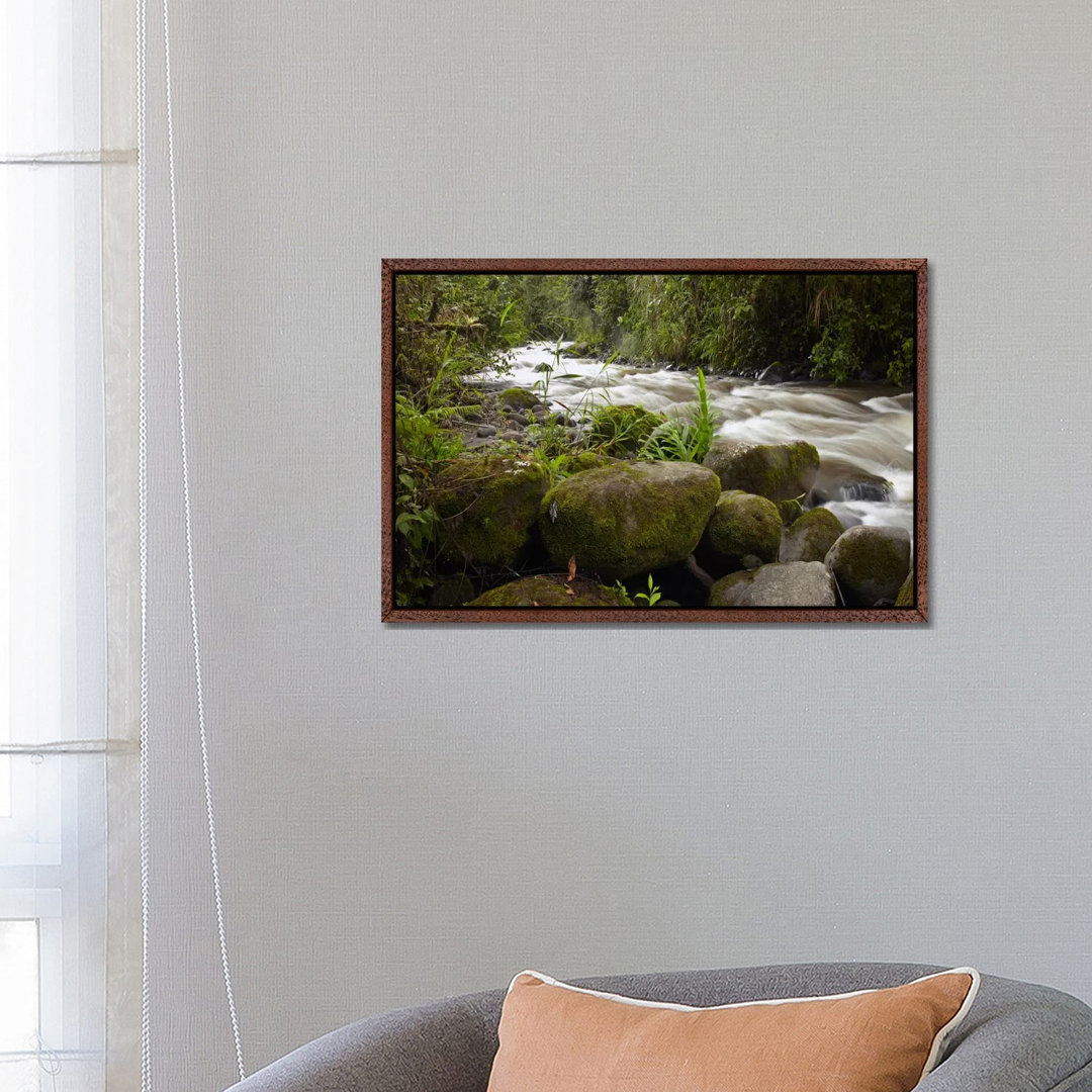 Mindo River Flowing Through Cloud Forest, Ecuador von Tim Fitzharris - Gallery-Wrapped Canvas Giclée on Canvas