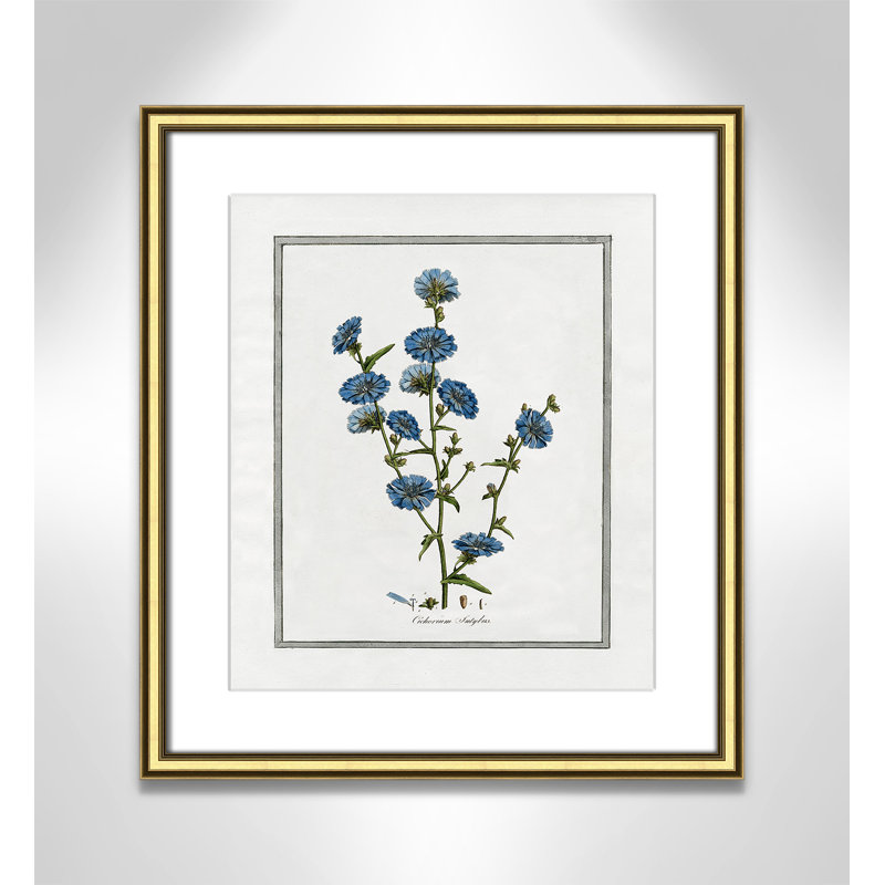 «Vintage Tropics I», art encadré à fond, Cadre doré, L 14,25 po x H 16,25 po