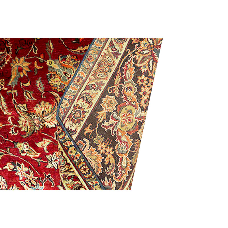 Sona Wool Oriental Area Rug