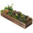 5'' Faux Succulent in Solid Wood Planter