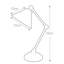 Evie Metal Desk Lamp-18980010