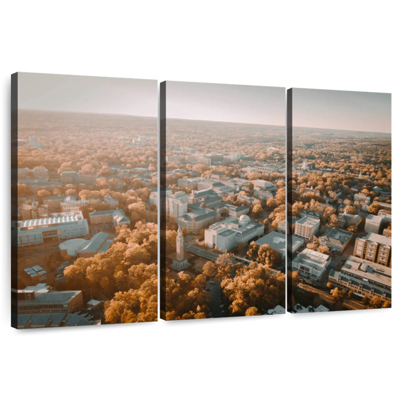 Vue aérienne du Campus de Senne UNC, H 20 po x l 33 po