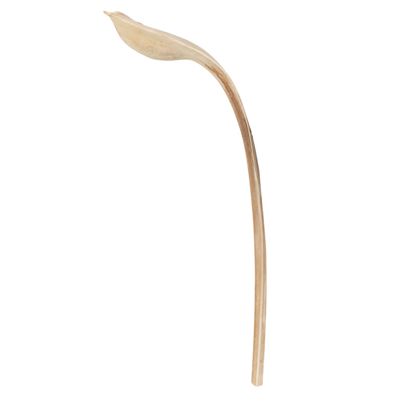 20'' Plant