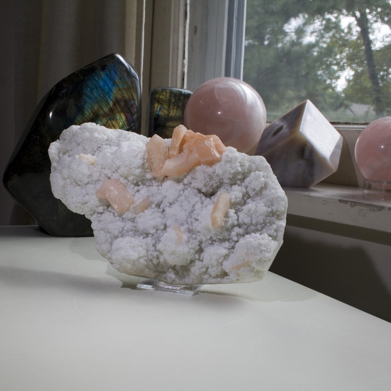 Anokh Landscape & Nature Figurines & Sculptures