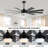 Babrak 65'' Ceiling Fan with LED Lights-756072390