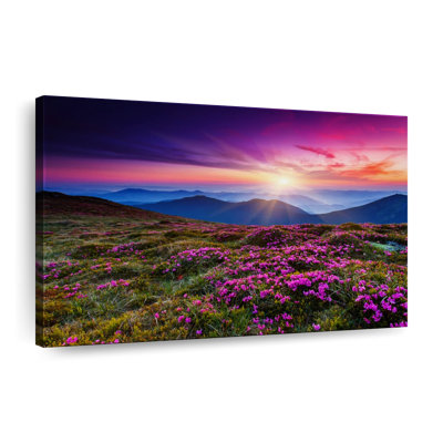 Pink Flowers At Sunset Canvas Print
