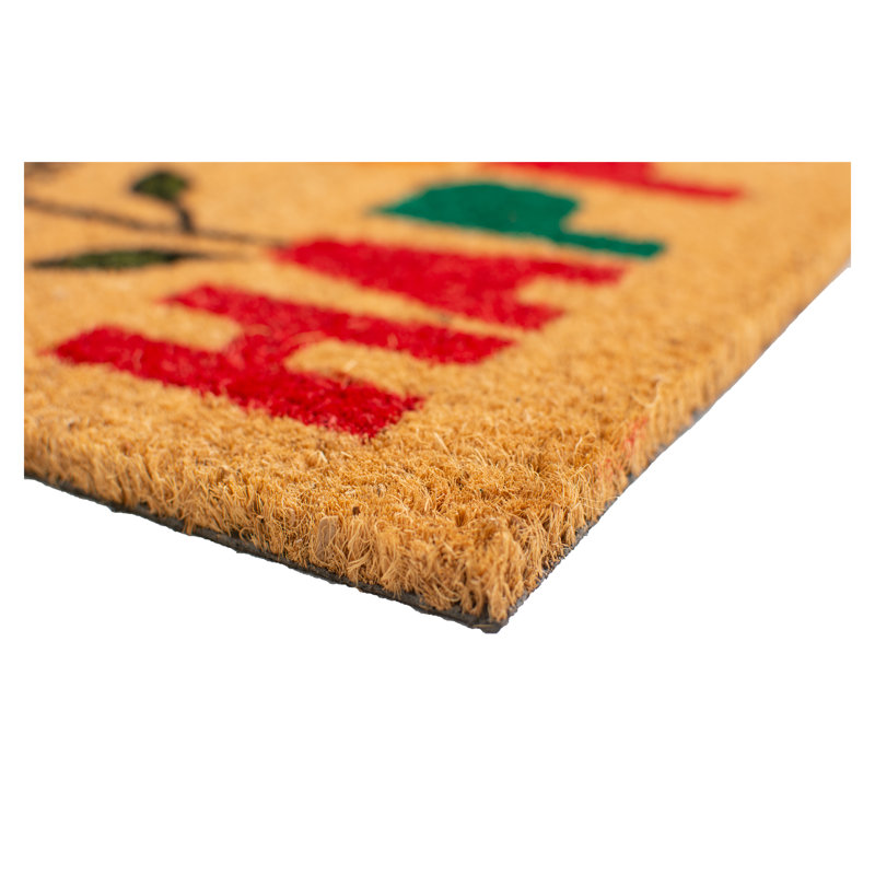 Leeanna Non-Slip Outdoor Doormat