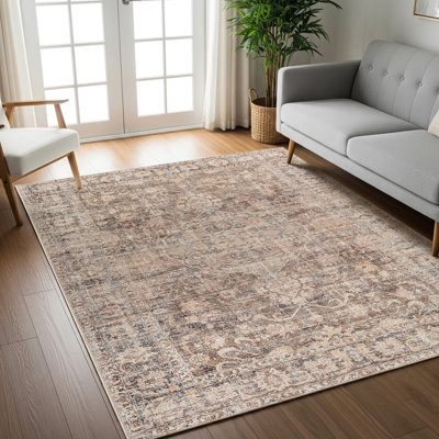 Oriental Area Rug