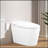 Smart Toilet Bidet Combo With Self-Cleaning Nozzle, Heated Seat, Night Light, Knob Control, Power Outage Flushing, Soft Close, Auto Flush, With Remote Control