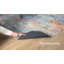 Tapis multi lavable à la machine, tapis abstrait pour le salon-60294407