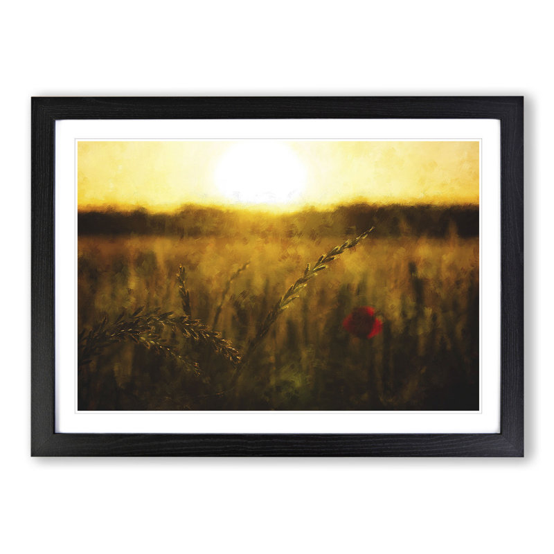 Poppy in a Meadow - Framed Print, 48cm H x 65cm W x 2cm D, Black Framed